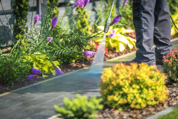 Best Fence Cleaning and Maintenance in Florence Graham, CA